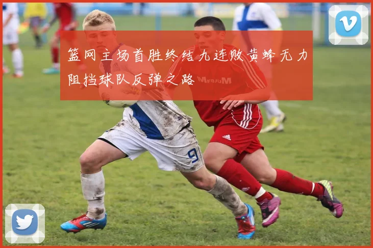 篮网主场首胜终结九连败黄蜂无力阻挡球队反弹之路