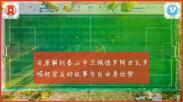 苗原解析泰山中卫佩德罗阿尔瓦罗崛起背后的故事与自由身优势
