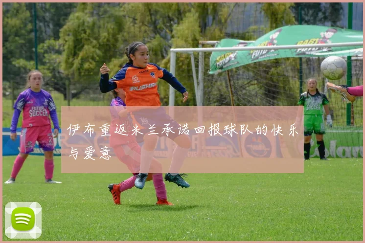 伊布重返米兰承诺回报球队的快乐与爱意