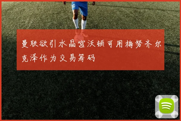 曼联欲引水晶宫沃顿可用梅努齐尔克泽作为交易筹码